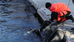 9 мест для Крещенских купаний готовят в Севастополе