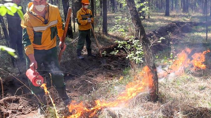 В России действуют 65 очагов лесных пожаров