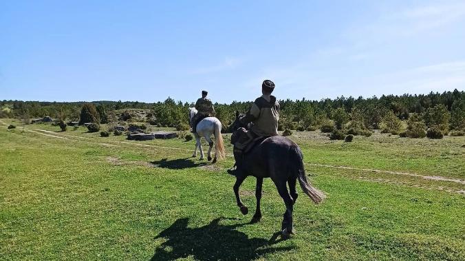 Конные патрули казаков защитят леса в Севастополе 