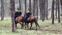  В Мекензиевом лесничестве провели рейд по противодействию пожаров
