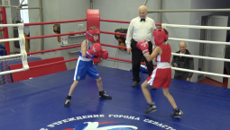 Памяти героя: в Севастополе стартовал турнир по боксу