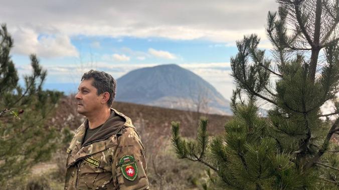 В Крыму за рубку сосен поймали пять нарушителей