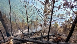 Лесной пожар в Ялте может вновь охватить потушенные зоны