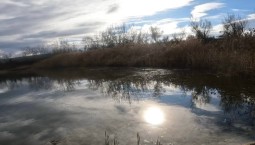  ИНБЮМ оценивает загрязнение рек в Севастополе