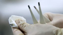 В Крыму и Севастополе зафиксировали 3 случая вируса Западного Нила