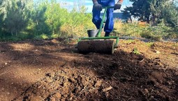 В Севастополе начали сеять семена для будущих лесов