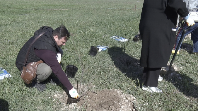 Накануне 9 мая в Севастополе высадили «Сад Победы»