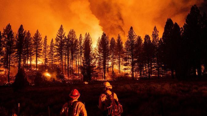 Минприроды: Обстановка с лесными пожарами в России напряженная