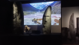 В Новосибирском музее показали древности Сибири