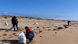 Новых утечек мазута с танкеров не зафиксировано