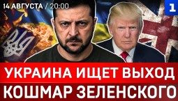 Украина ищет выход | Кошмар Зеленского | Трамп шантажирует НАТО | Дроны атакуют Европу