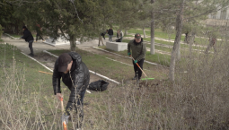 Губернатор Развожаев вместе с жителями Балаклавы вышел на субботник