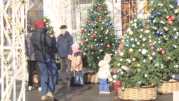 За праздники Севастополь посетили 9,4 тыс. туристов