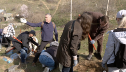 Сад памяти: в Балаклаве высадили сиреневую аллею 