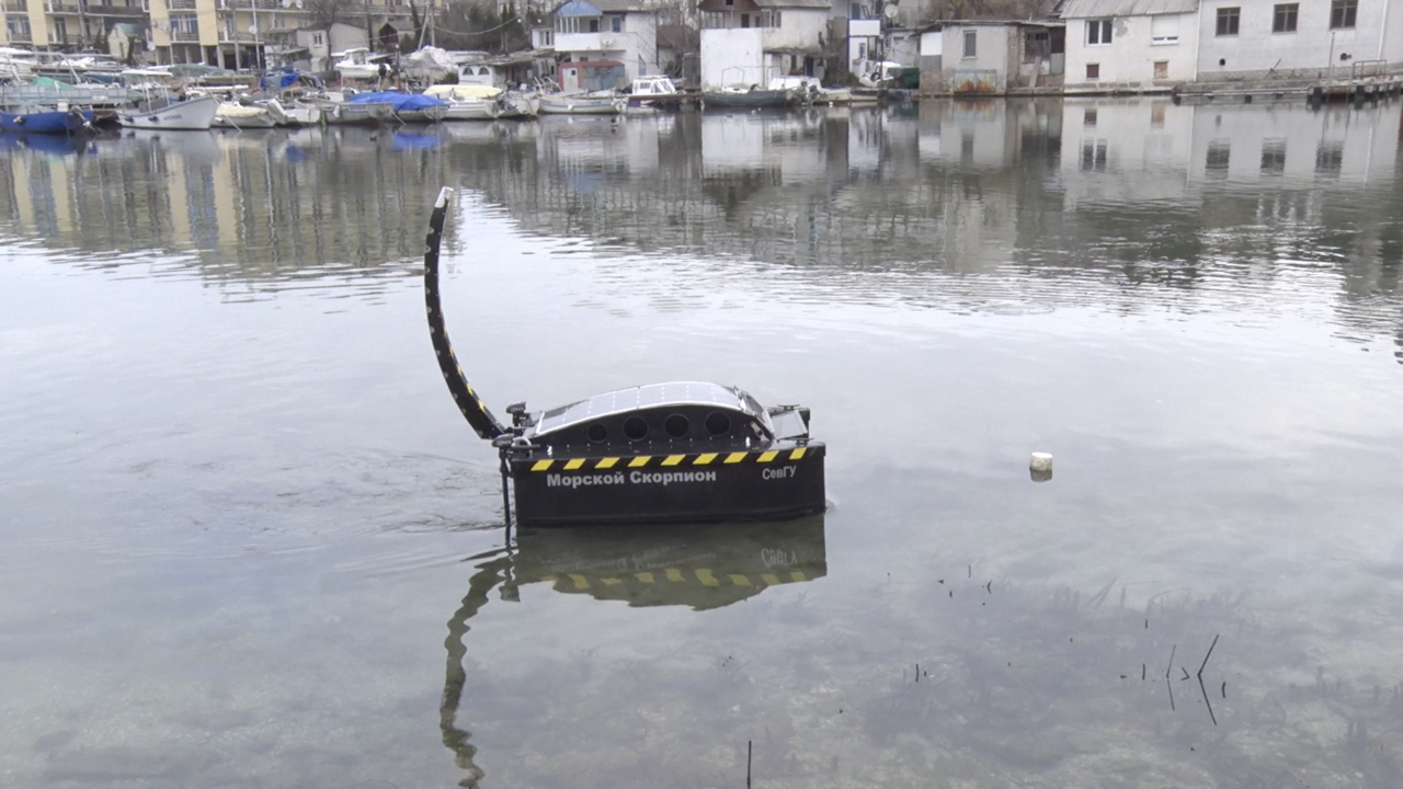 Стоковые фотографии по запросу Морской скорпион