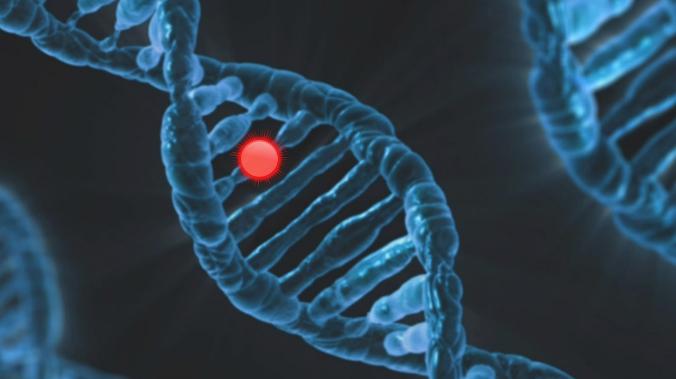 Квантовое взаимодействие вызывает случайные мутации ДНК