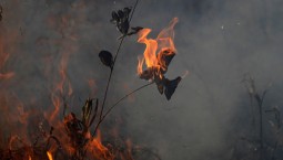 В 12,9 млн рублей оценили ущерб от пожара на ЮБК