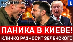 Паника в Киеве! | Кличко разносит Зеленского | ВСУ без Starlink | Германия обвиняет Украину