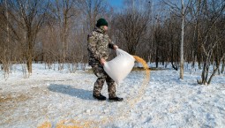 В Приморском крае подкармливают диких животных