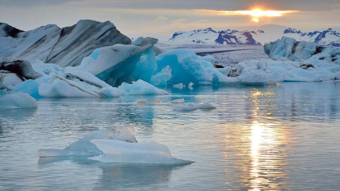 Ученые: следующая пандемия может возникнуть в Арктике