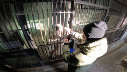 Белый медведь Терпей учится быть послушным