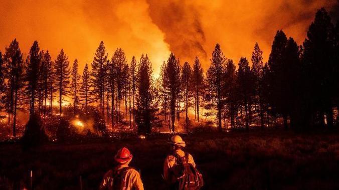 Пожар в Крыму уничтожил около 3 га деревьев и кустарников