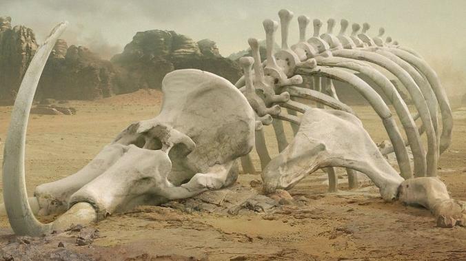 Следующее массовое вымирание животных произойдет не раньше 2500 года