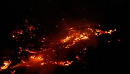 В аргентинской Патагонии лесные пожары охватили более 35 000 га