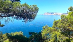 10 лет исполнилось Большой Севастопольской тропе