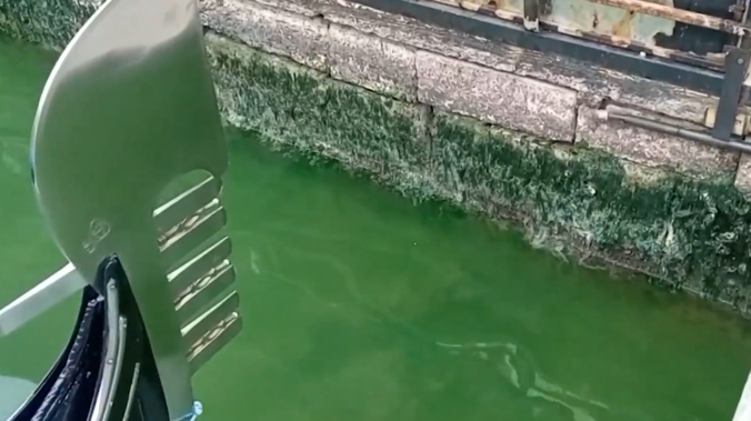 Вода Гранд-канала в Венеции стала зелёного цвета