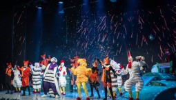 Культурный январь в Севастополе собрал 700 000 гостей