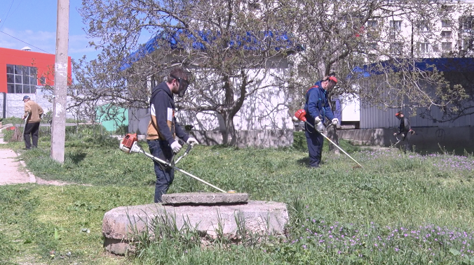 В майские праздники чиновники будут косить траву