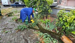 405 человек убирают последствия ливня в Севастополе