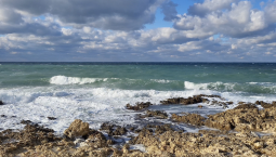 18 ноября в Севастополе ожидается ветер 15-20 м/с