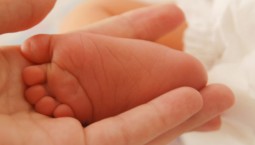 В Крыму с начала года родилась 191 двойня