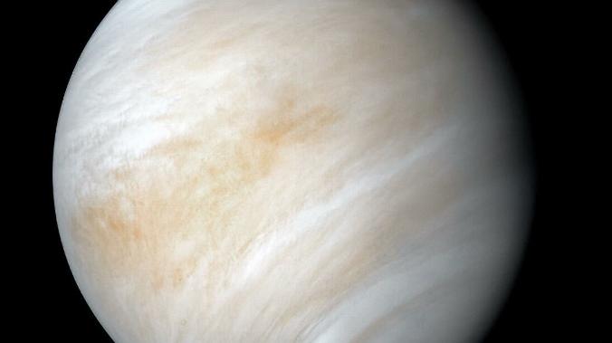 В облаках Венеры может происходить фотосинтез