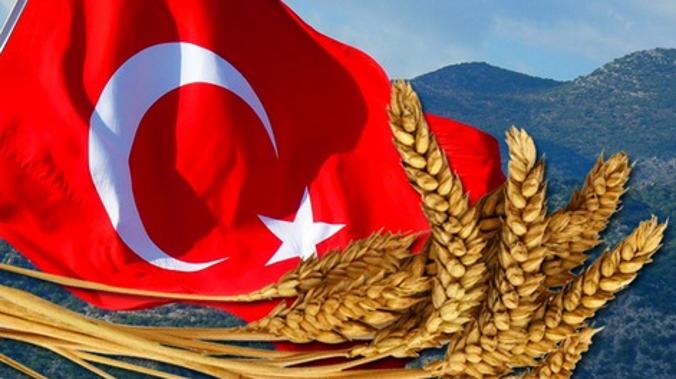 Турция хочет вывезти 20 млн тонн украинского зерна