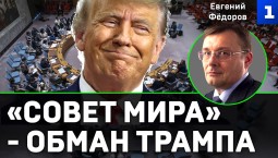 Фёдоров: «Совет мира» - это обман Трампа