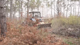 В Севастополе проводят санитарную очистку леса 