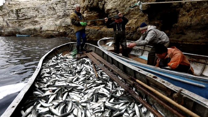 Рыболовам Севастополя выделили 8 млн рублей