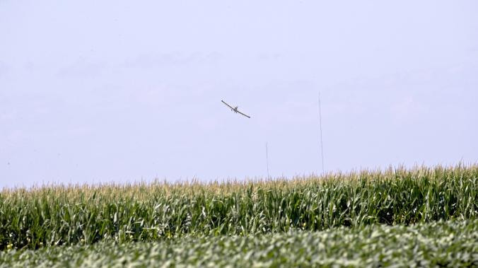 Власти Херсонской области раздали бесплатно 21 вагон кукурузы
