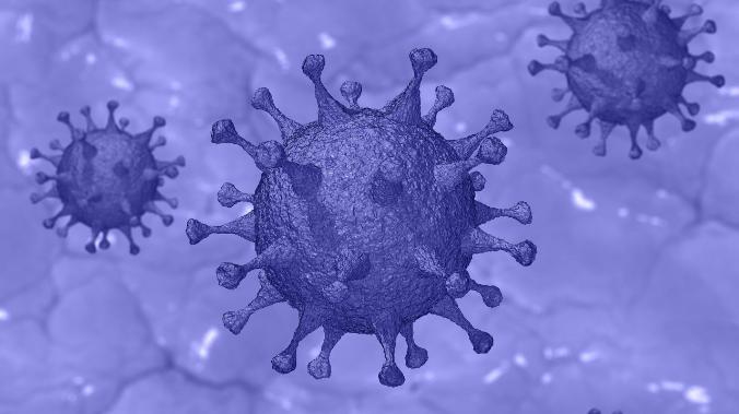 Обнародованы снимки белковых «шипов» коронавируса