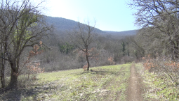 С 1 апреля в Севастополе – пожароопасный сезон