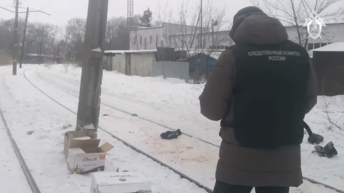 Стая бродячих собак загрызла мужчину в Хабаровске