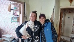 Найден кот Боня, пропавший после взрыва на Корчагина