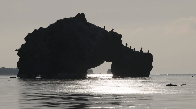 В Крыму зафиксировали землетрясение магнитудой 4,8