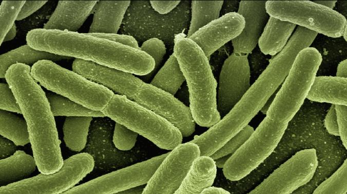 Ученые нашли бактериальные ферменты, разлагающие пластик