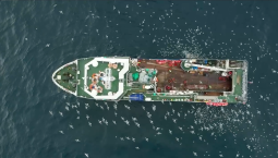 На Юге России рыбаки выловили 6,1 тыс тонн хамсы