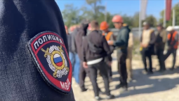 В Севастополе выявили 487 миграционных нарушений