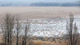 Водохранилище в ДНР пополнят водой из карьера